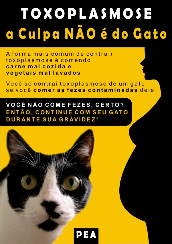 O mito gato e a Toxoplasmose | | Porto Alegre | Centro Médico Veterinário