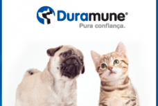 DURAMUE_WEB